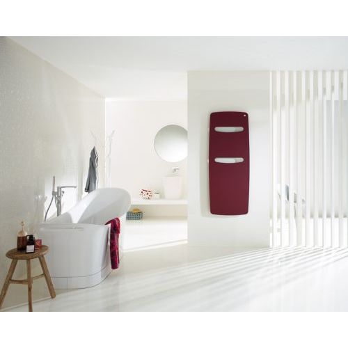 Полотенцесушитель Zehnder Vitalo Spa VITES-180-50/GD анодированный алюминий
