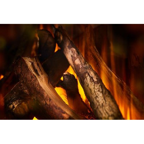 New Forest 1600 with Deluxe Real logs