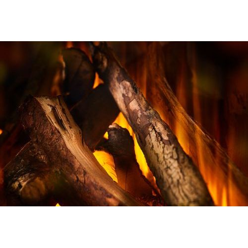 New Forest 870 with Deluxe Real logs