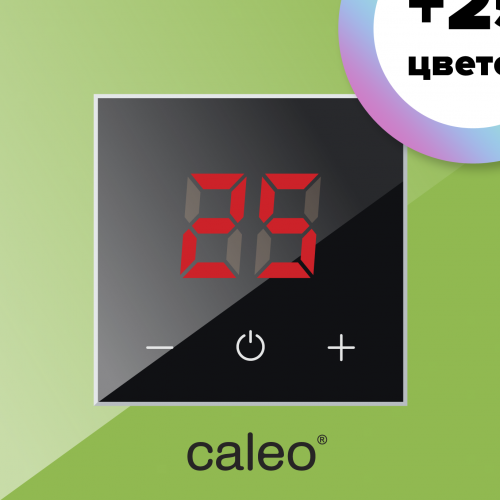 Терморегулятор CALEO NOVA зеленый