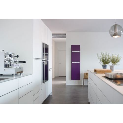 Полотенцесушитель Zehnder Vitalo Bar VIPE-190-060/GD белый (RAL 9016)