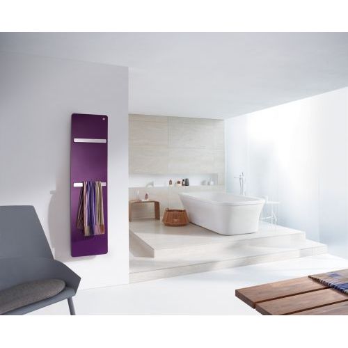 Полотенцесушитель Zehnder Vitalo Bar VIPES-160-50/GD анодированный алюминий