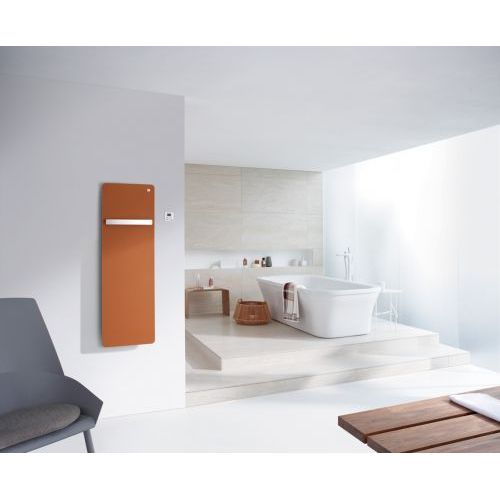 Полотенцесушитель Zehnder Vitalo Bar VIPES-160-50/GD анодированный алюминий