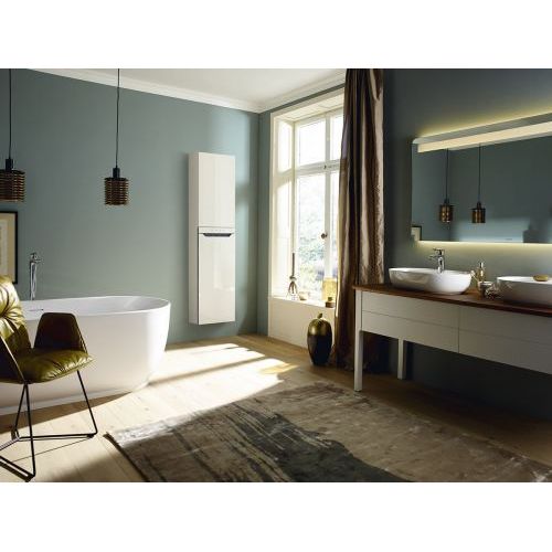 Полотенцесушитель Zehnder Zenia ZENLB-100-045/X черный